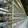 Alibaba hot sale chicken cage / layer chicken cage / broiler chicken cage